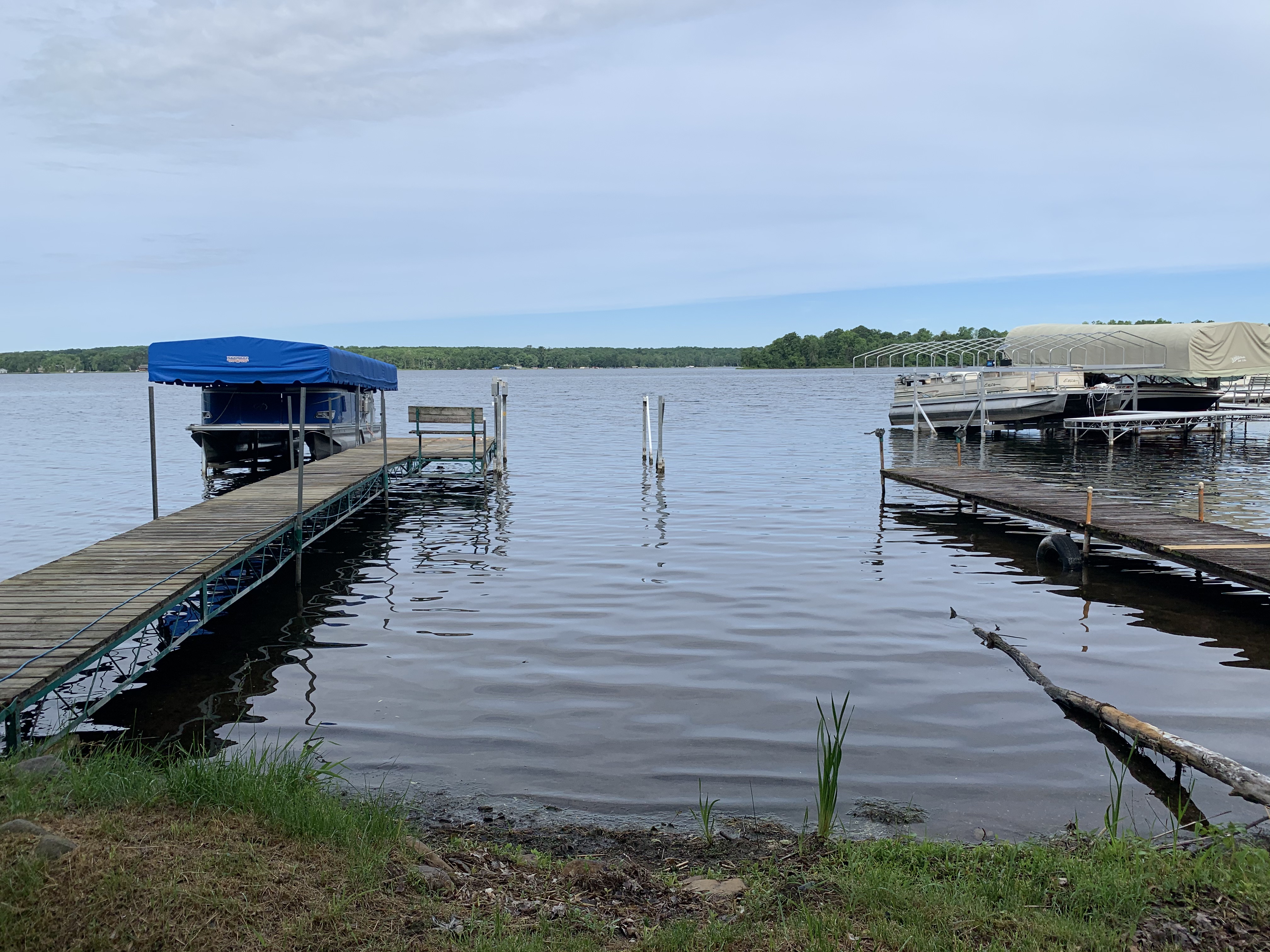 A Day in the Life of a Dive Guy: Aquatic Weed Removal Adventures