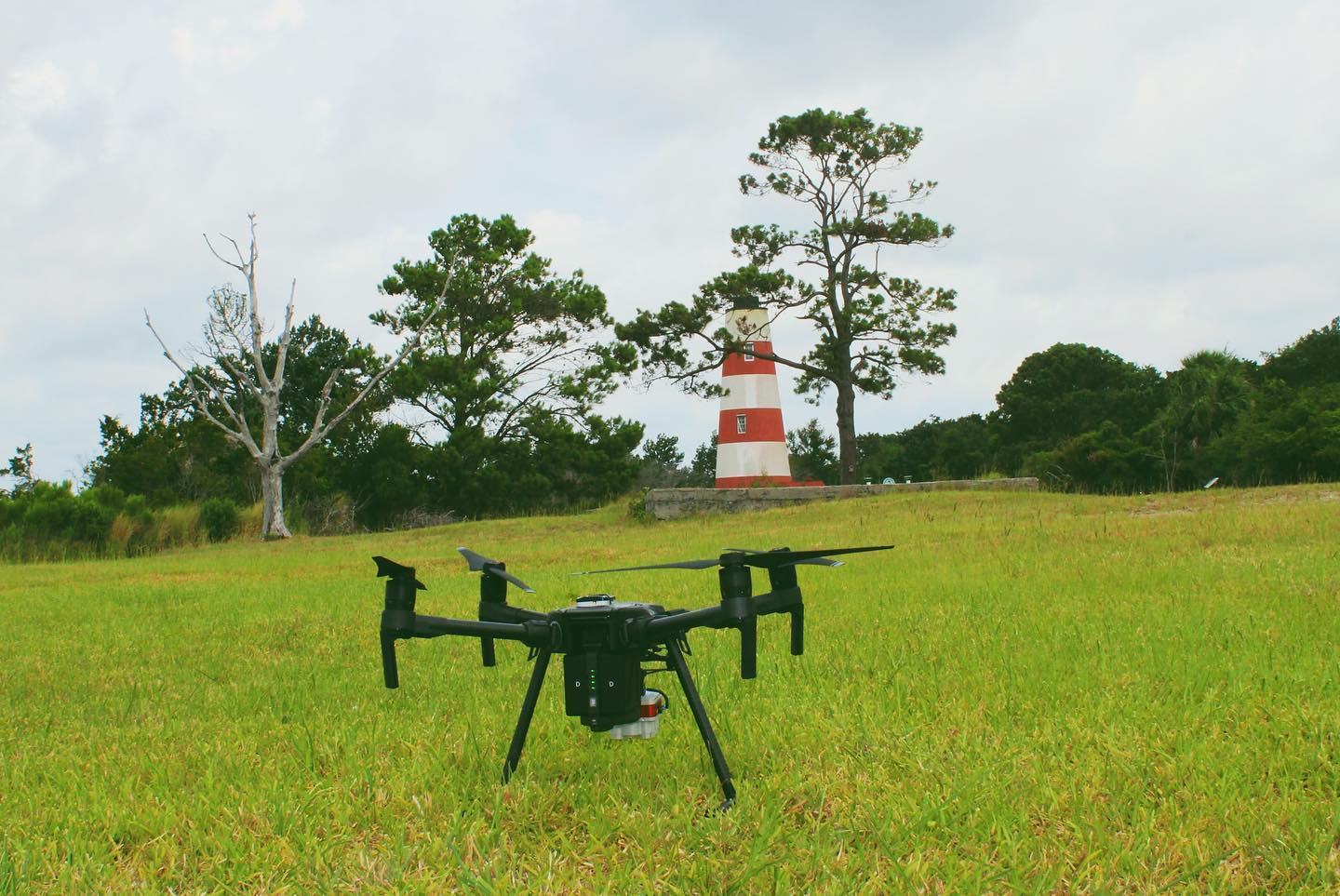 Mapping Spartina alterniflora on Sapelo Island