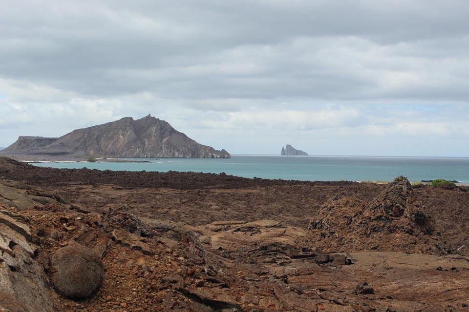 Exploring Marine Science and Conservation in the Galapagos Islands