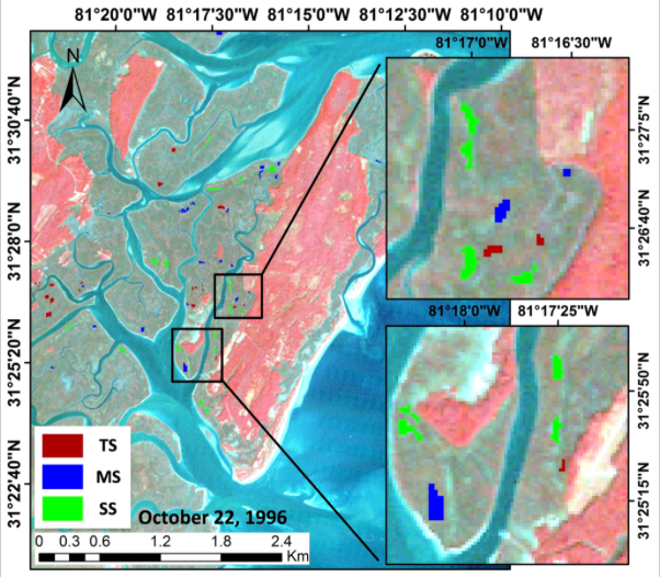 Landsat 5 TM - Sapelo Island